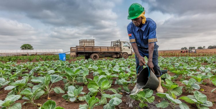  ENSA RELANÇA SEGURO AGRÍCOLA