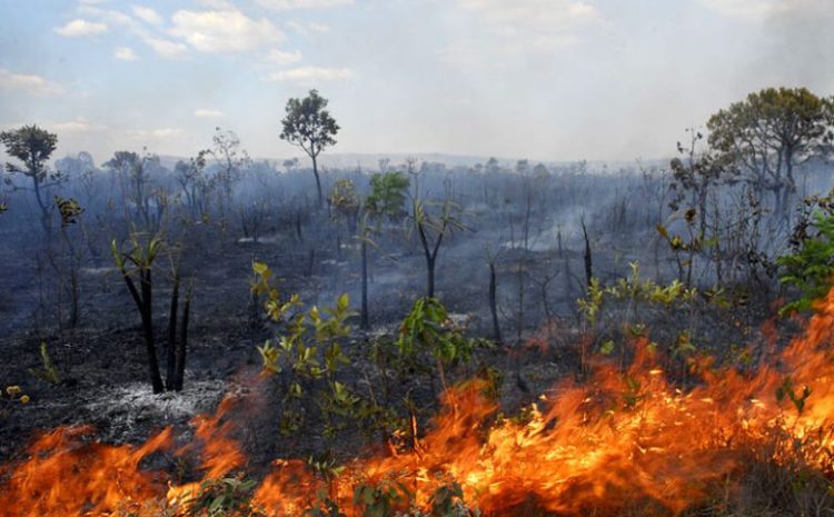  COMISSÃO DE JUSTIÇA E PAZ DA CEAST PREOCULPADO COM A POLUIÇÃO DO AMBIENTE